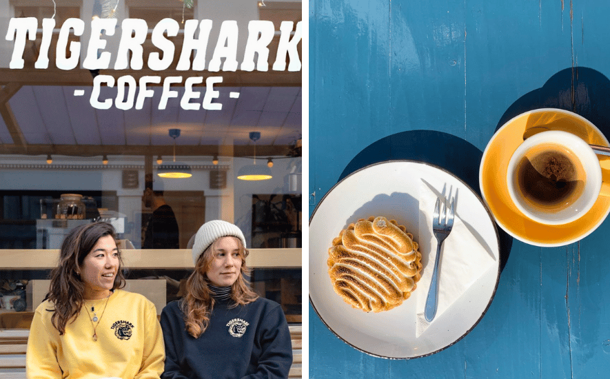 Tigershark Den haag