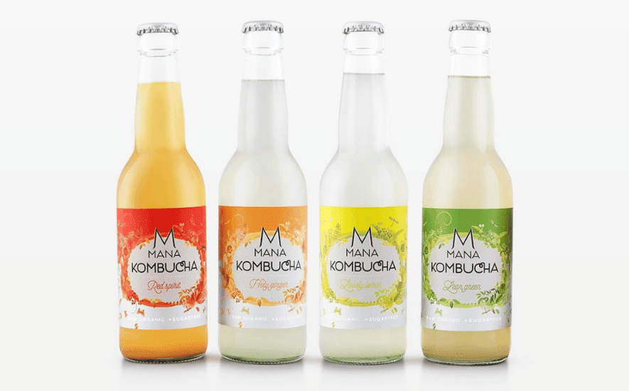 8 kombucha merken van Nederlandse bodem