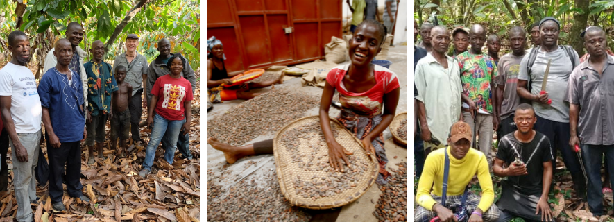 Cacao Liberia