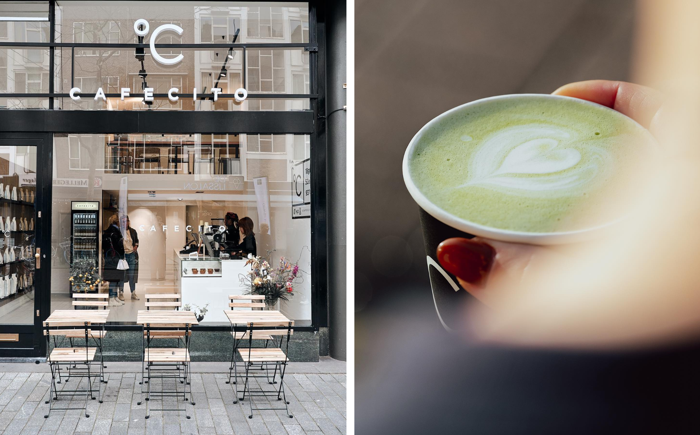 cafecito rotterdam