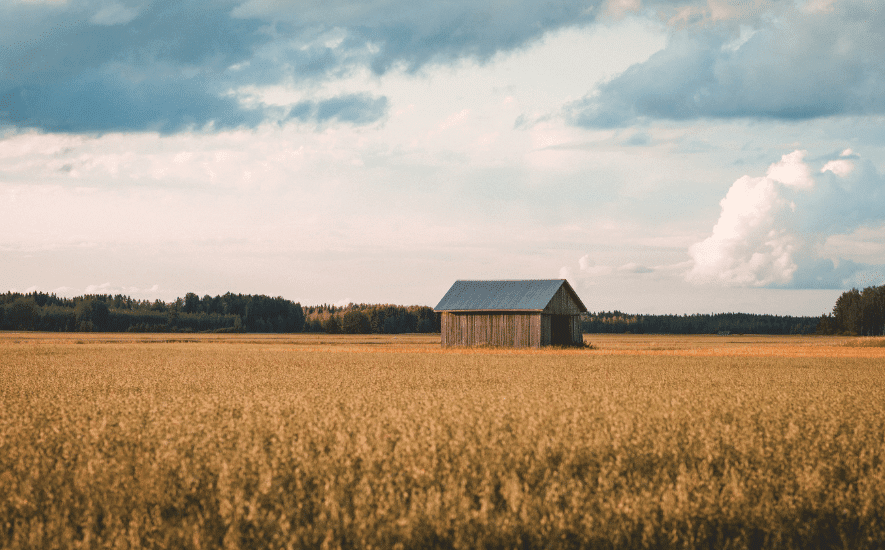 Friendly Viking's haver Finland