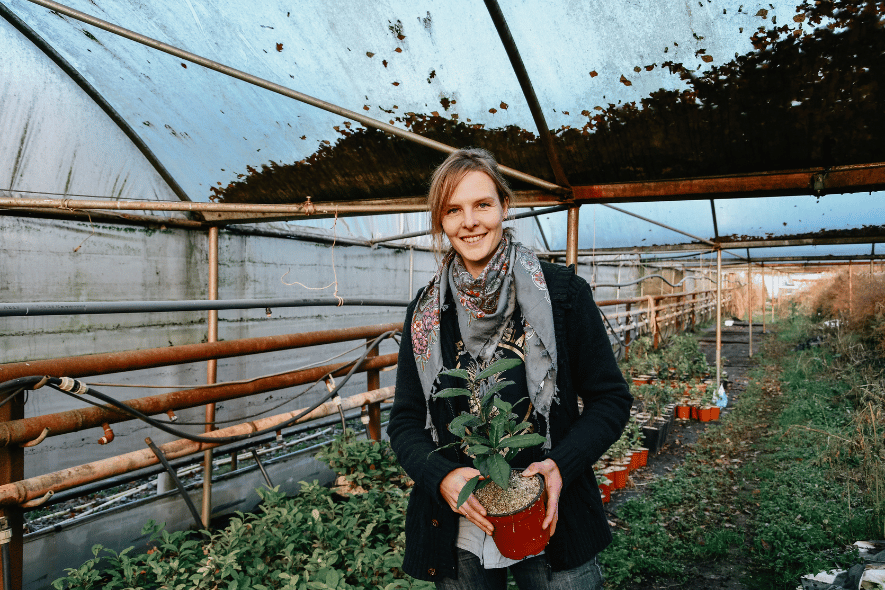 4 Tea Plantations in Europe