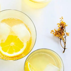 zomerse recepten kombucha