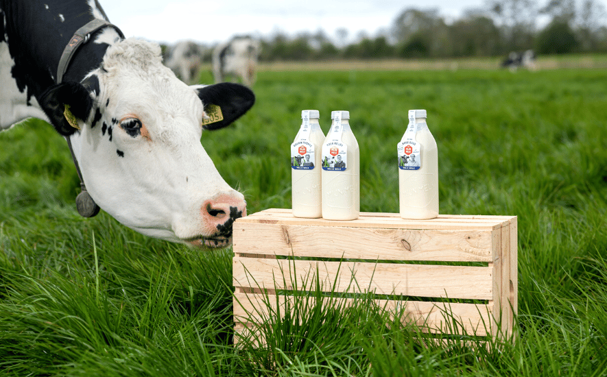 Mijn Melk: zo van de boer bij jou in de buurt