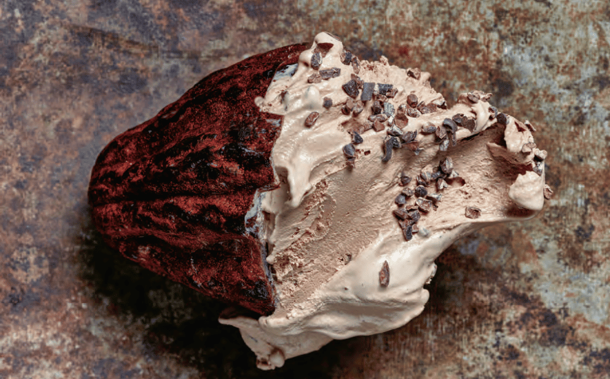 recept chocolade sorbetijs