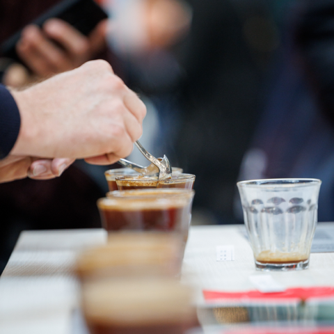 the amsterdam coffee festival 2025