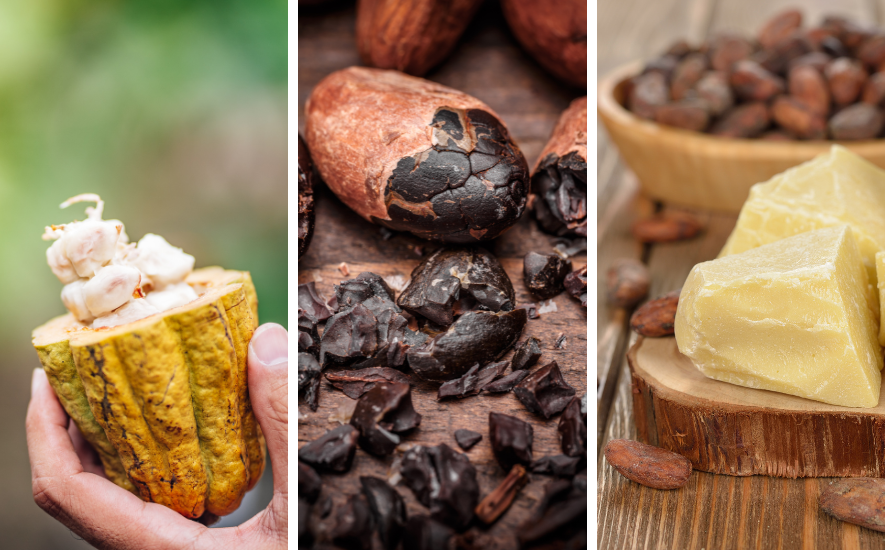 Wat is cacaoboter