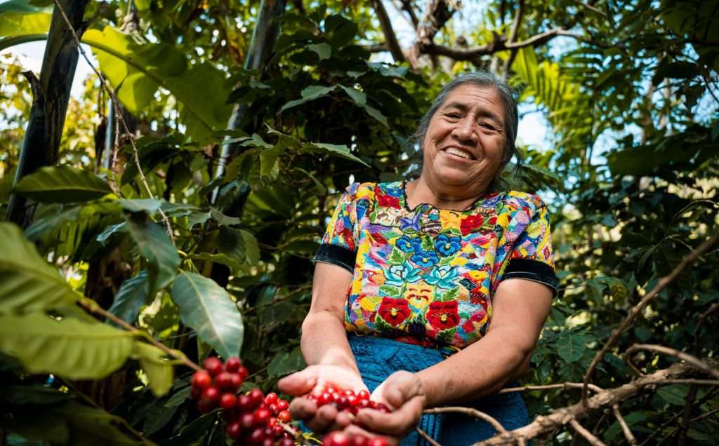 Dure koffie Fairtrade 2