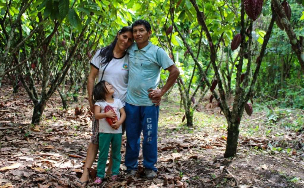 The Origins of Cocoa
