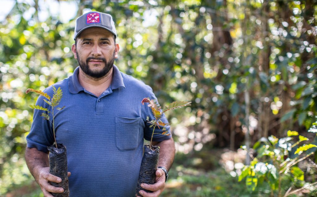 toekomstbestendige koffie schaduwbomen