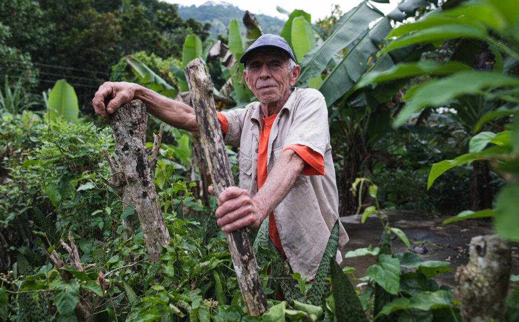 La Reserva de ¡Tierra! Cuba oogst en verwerking boer