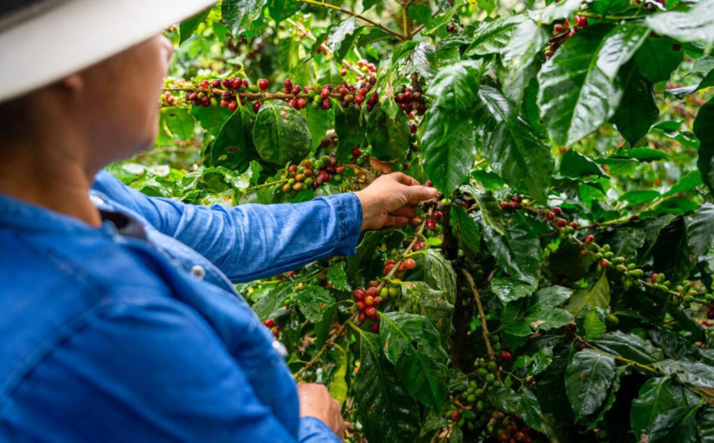 Nieuws mei 2026 - Lavazza