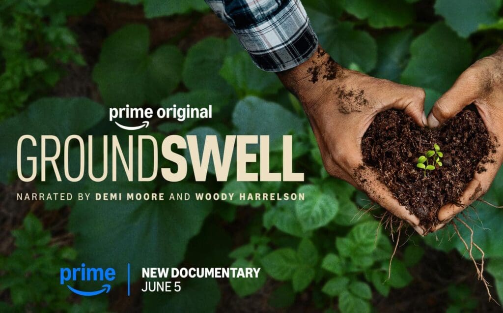 News Blog June 2026 groundswell