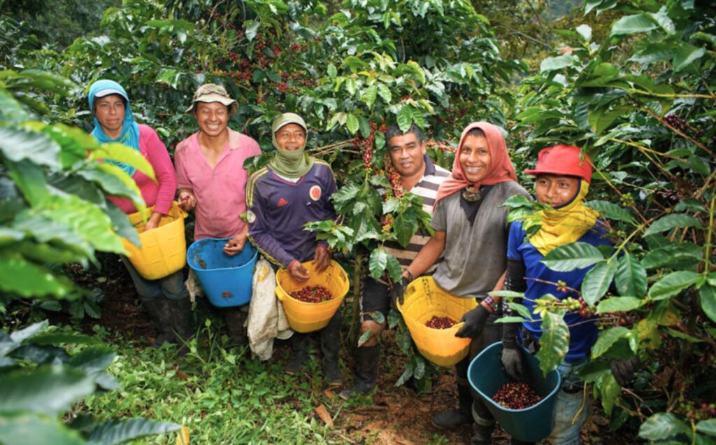 Rojas Specialty Coffee Colombia