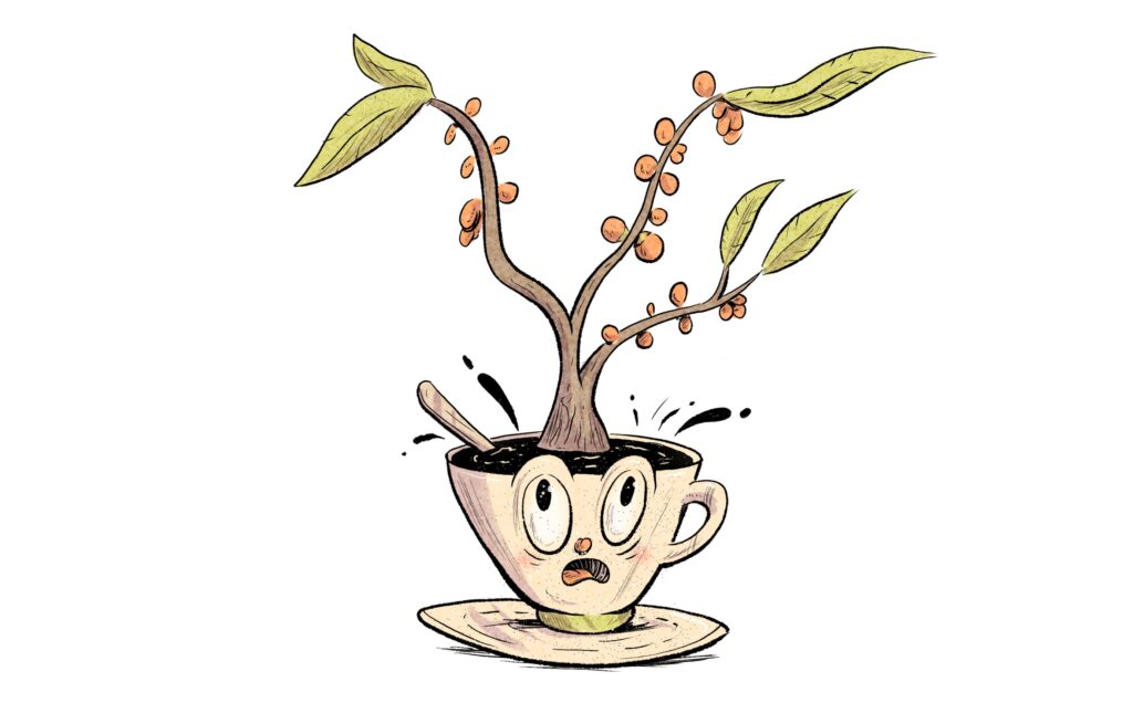 myths about coffee