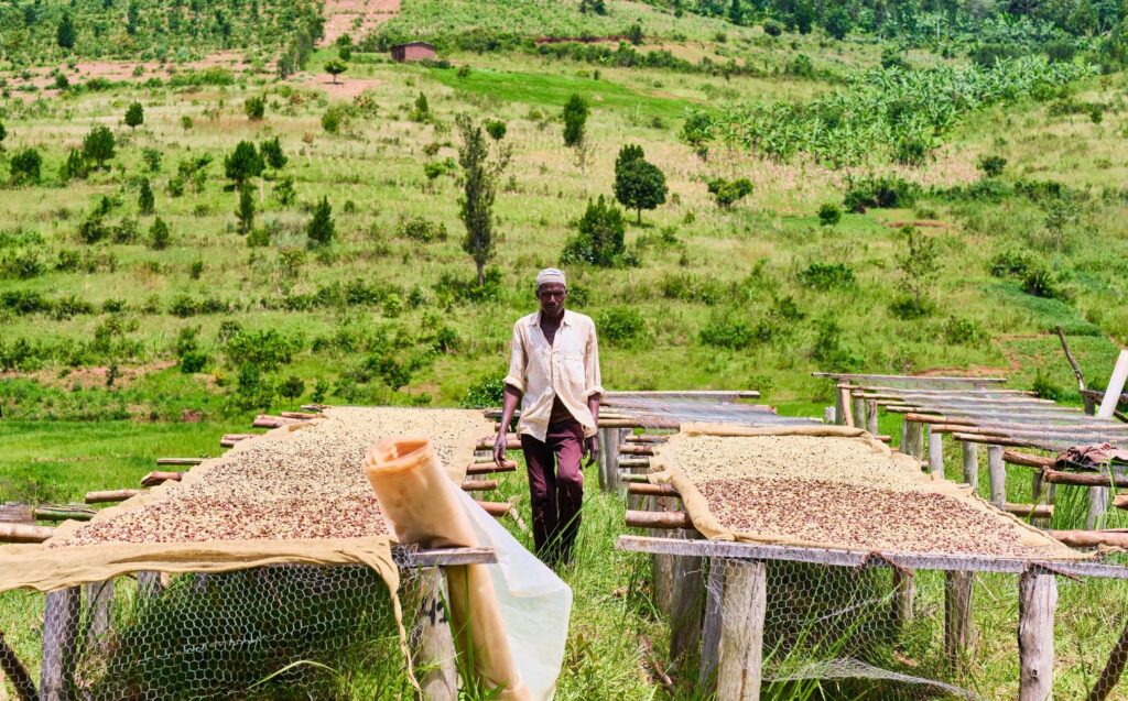 September News - Fairtrade