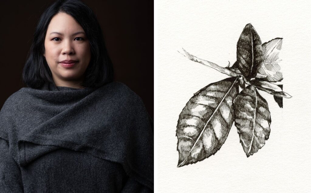 De wereld van thee Renate en illustratie
